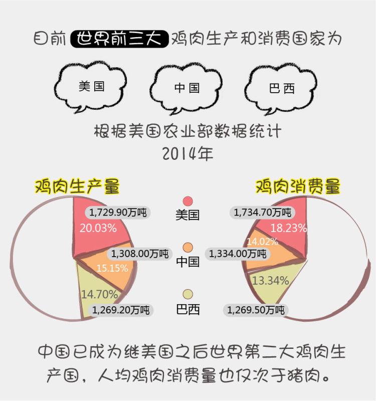 振兴东北经济，中城银信从“溜达鸡”开始